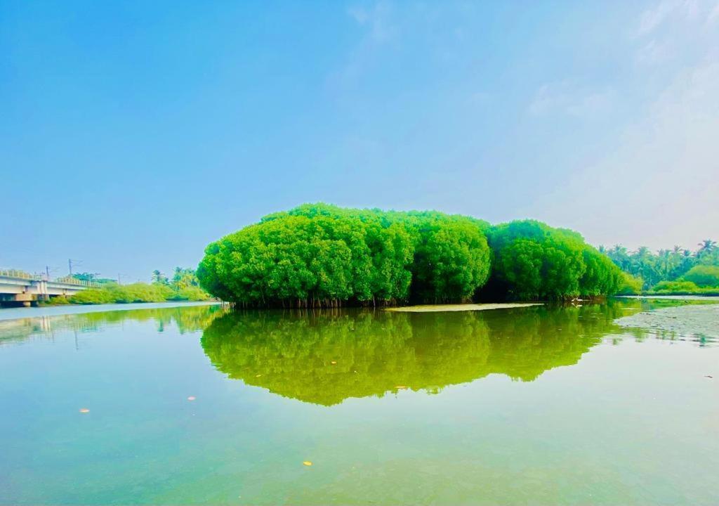 Green Island Homestay Riverside Kozhikode Exteriör bild