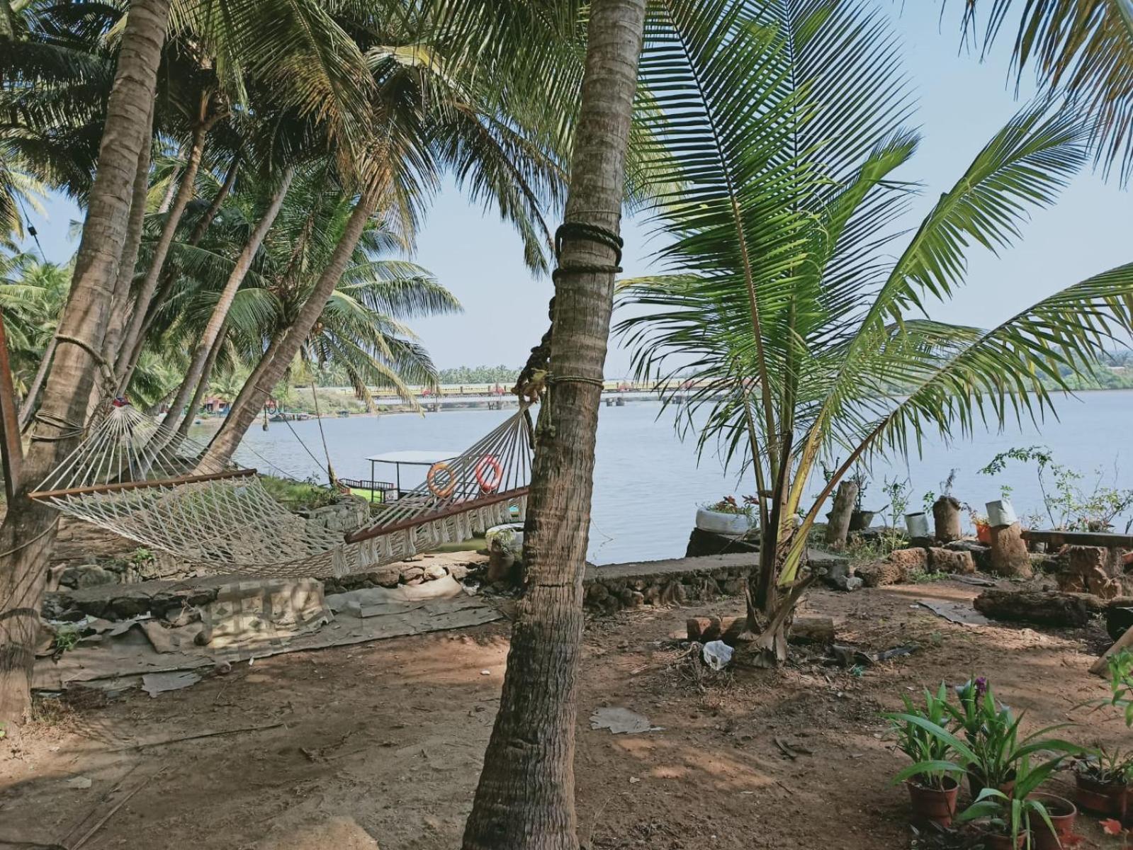Green Island Homestay Riverside Kozhikode Exteriör bild
